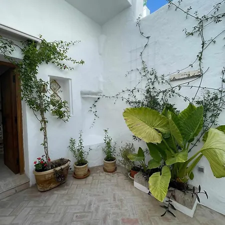 The Traveller`s House Antiqua Centro De Vejer Con Wifi *